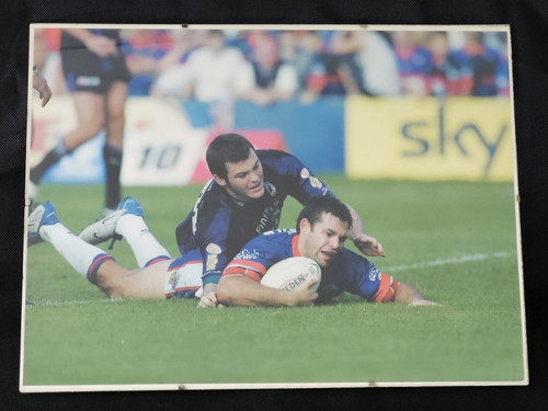 Wakefield wildcats large - wildcats,